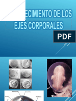 Establecimiento de Los Ejes Corporales