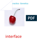 Interface