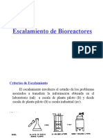 C 7 Escalamiento 2006