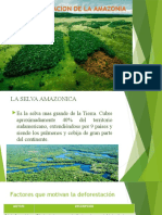 La Deforestacion de La Amazonia