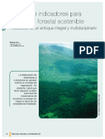 Criterios e Indicadores para El Manejo Forestal Sostenible: Necesidad de Un Enfoque Integral y Multidisciplinario