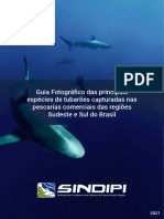 Guia tubarões pesca Sudeste Sul Brasil