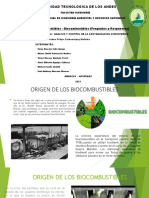 PTT Biocombustibles P 1