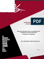 Manual de Seguridad y Salud Ocupacional