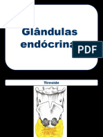 03 Glândulas Endócrinas
