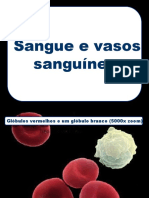 05_Sangue_e_vasos_sanguíneos