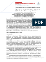 Relato de Caso Sarcoma de Partes Moles em Região Plantar.