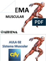 AULA 03 - Sistema Muscular