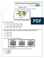 Ciências - Avaliação Diagnostica 3º Ano - Aluno