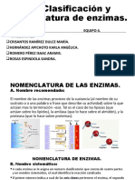Clasificación y nomenclatura de las enzimas