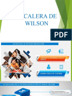 Escalera de Wilson