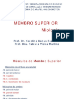 MEMBRO SUPERIOR - musculos