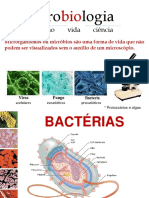 Aula 1 - 2020-2 - Introdução À Microbiologia Estrutura e Morfologia Bacteriana