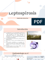 Leptospirosis Expo Infecto