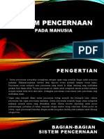 Sistem Pencernaan Manusia