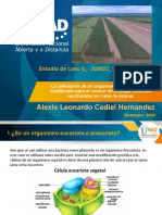 Tarea 4 - Proyecto - Alexis Leonardo Cediel