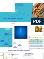 Farmacologiadel Sistemanerviosoautonomo