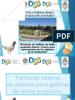 Fórmulas de Piensos Caseros para Alimento Gallinas Doble Próposito