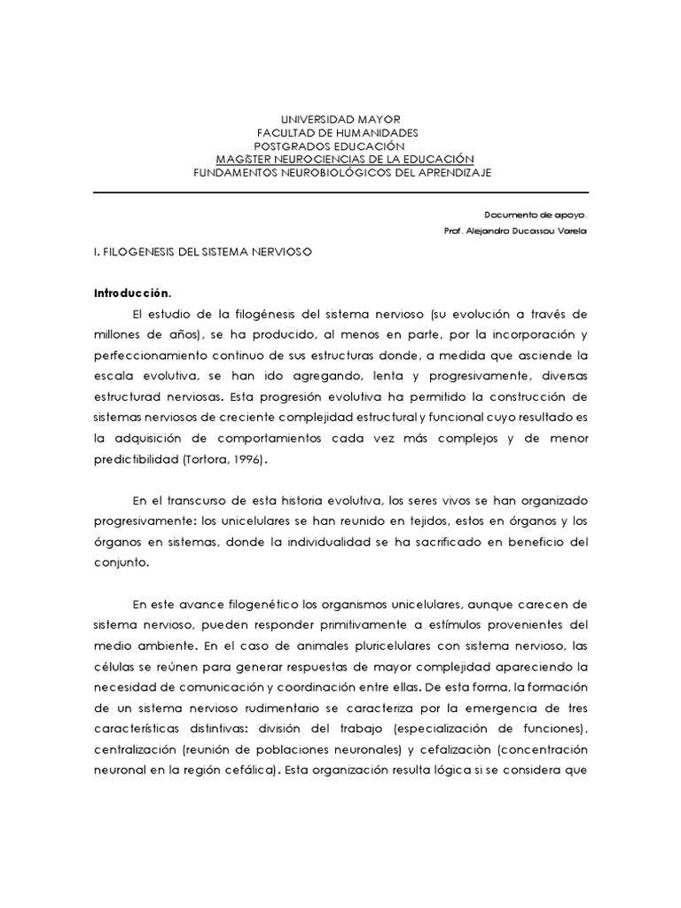 Filogenesis Del Sistema Nervioso | PDF | Evolución | Sistema nervioso