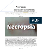 Necropsia