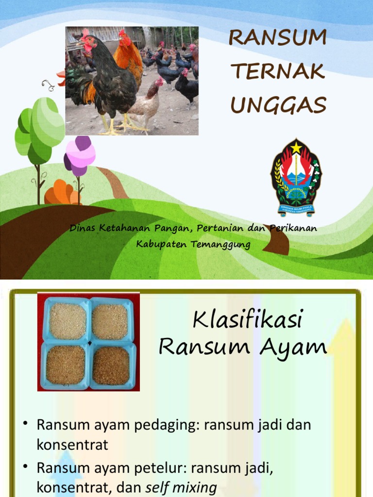 Materi Ransum Pakan Ayam | PDF