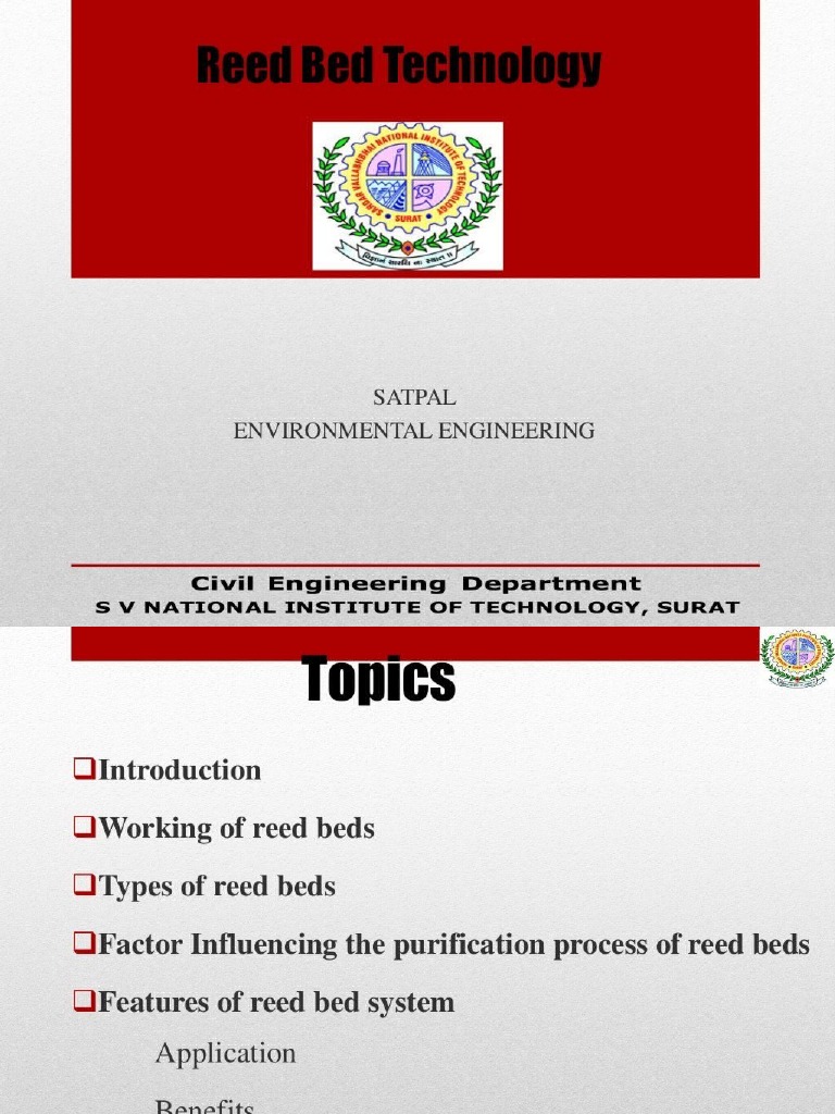 Reed Bed Technology PDF