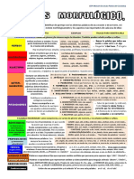 Conoce las palabras españolas