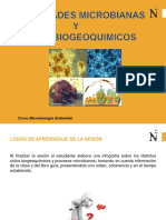 Sesion 6 - Comunidades Microbianas y Ciclos Biogeoquimicos