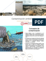 Contaminación Ambiental