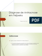 Diagnose de Antracnose em Feijoeiro - Professora Rosangela