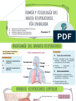 Vía inhalada