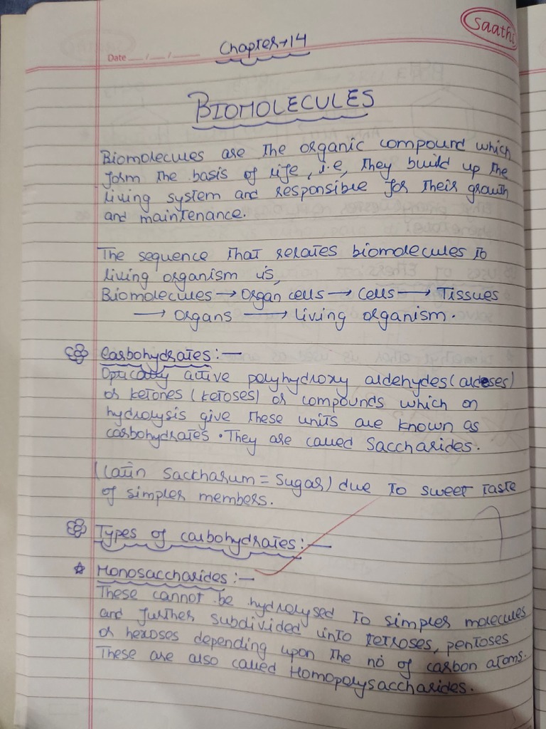 Biomolecules Notes | PDF | Chemistry | Functional Group