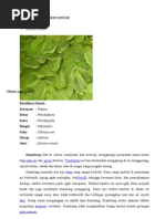 Download Tanaman Air Di Green House by Tina Manroe SN54593291 doc pdf