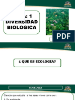Tema #1 - Diversidad Biologica