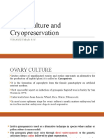 Ovary Culture and Cryopreservation
