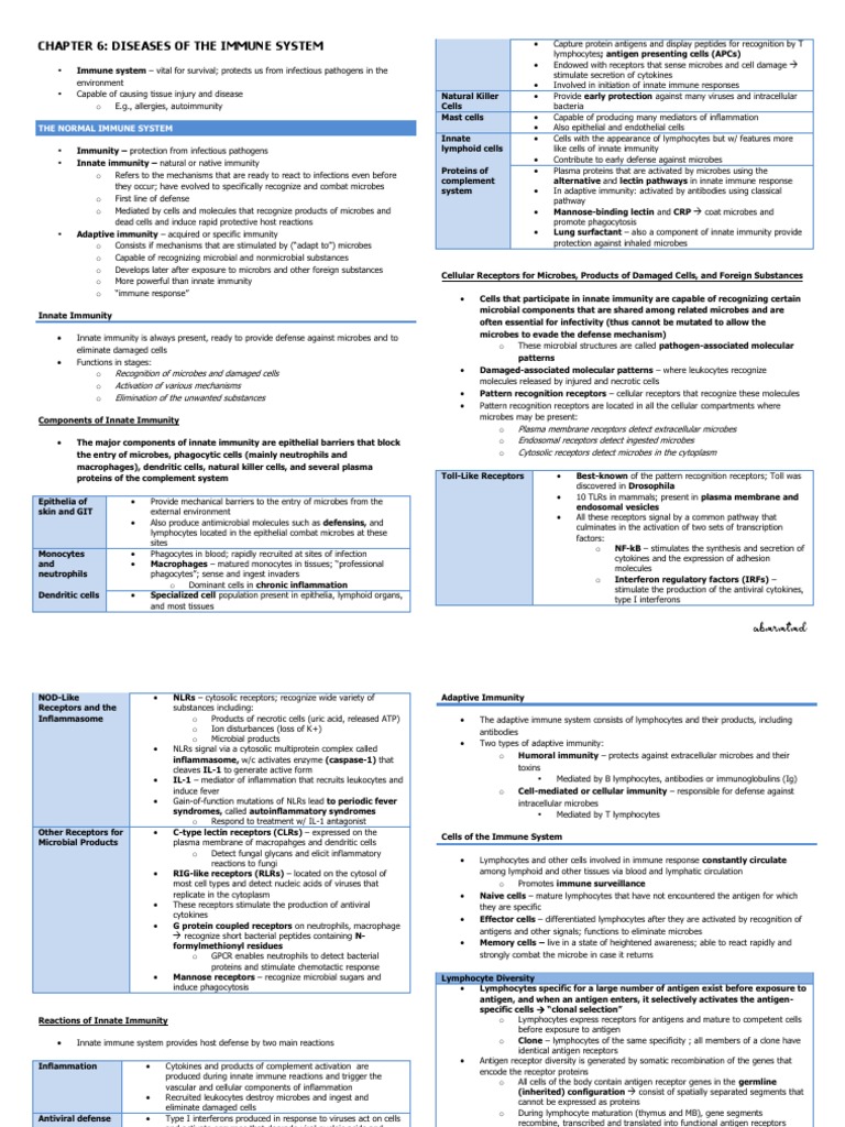 Immune System Diseases Overview | PDF | Immune System | Major ...