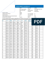 Repayment Report