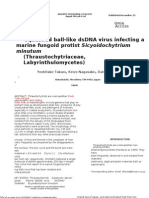 Squashed Ball-Like Dsdna Virus Infecting A Marine Fungoid Protist Sicyoidochytrium (Thraustochytriaceae, Labyrinthulomycetes)