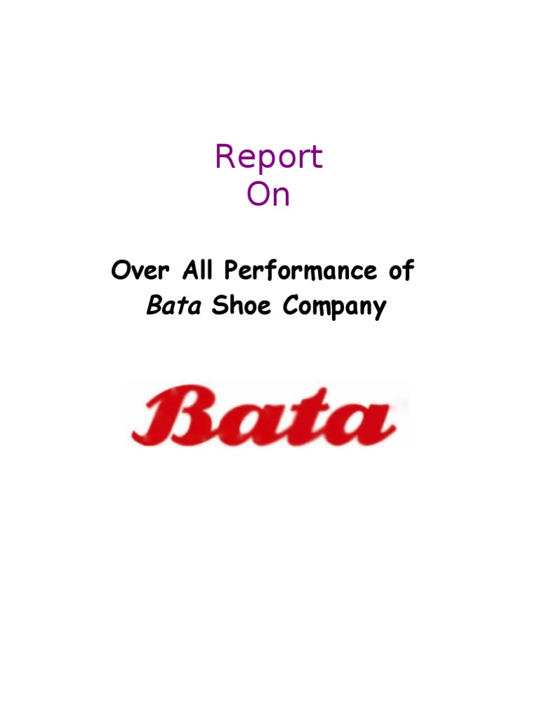 Over All Performance of Shoe Company PDF Net Revenue