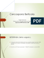 Diagnose de Cercospora Betícola - Professora Rosangela