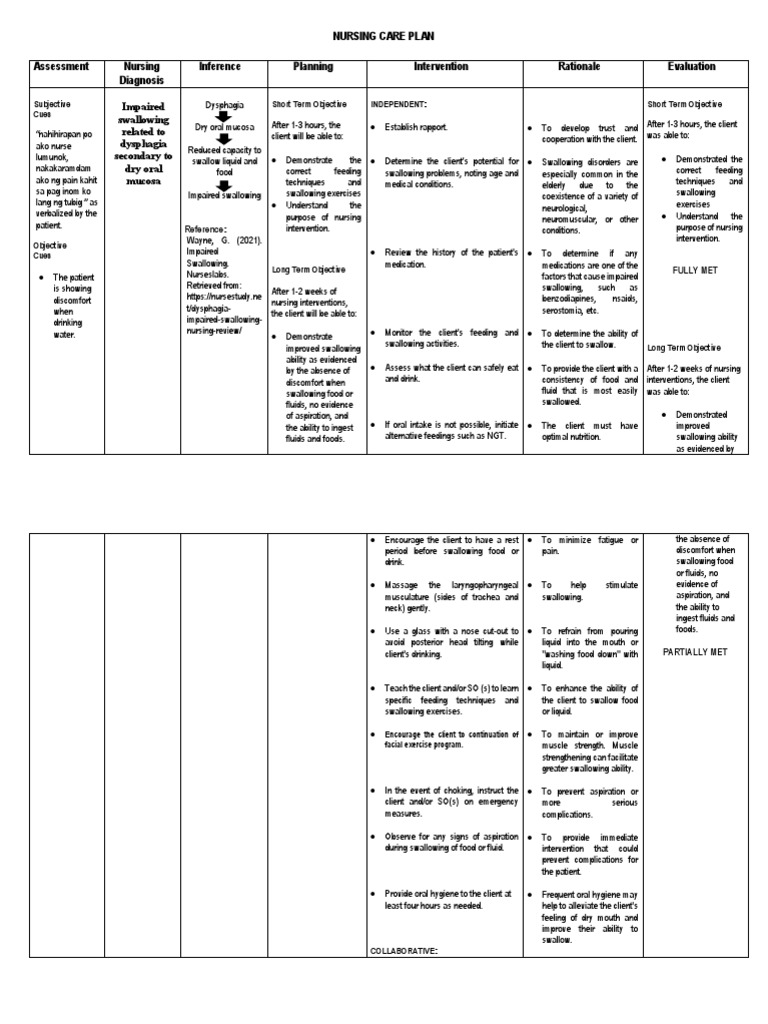 Nursing Care Plan for Dysphagia | PDF | Health Care | Health Sciences