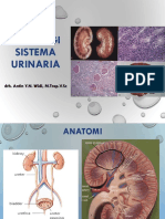 Patologi Sistema Urinaria