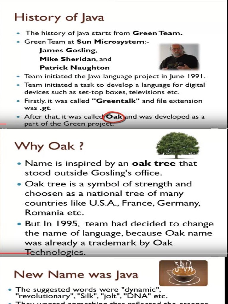 History of Java - 1 | PDF