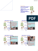 BÀI 4 - Rễ cây -Apr2020