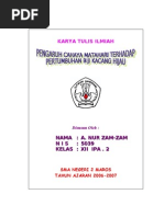 Download Karya Ilmiah a Nur Zam-Zam by Faizal SN54596536 doc pdf