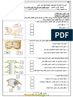 Devoir de Synthèse N°1 Collège Pilote - SVT - 9ème (2019-2020) MR Chebbi Faouzi