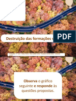 pg7_destruicao_formacoes_vegetais