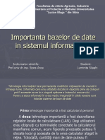 Important A Bazelor de Date in Sistemul Informatiunal