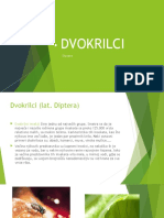 DVOKRILCI