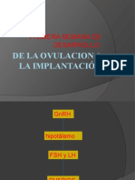 2.-De La Ovulación a La Implantación (Dr Pérez)